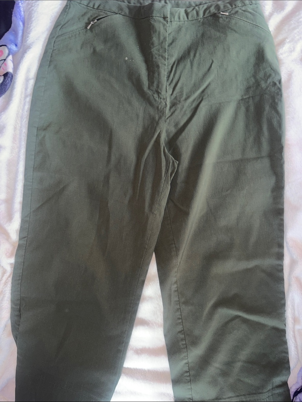 Northern Reflections Green Cropped Chino Pants